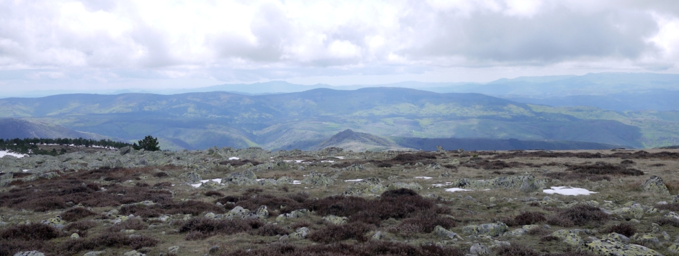 Les Cévennes vues depuis le sommet du Finiels (Mont Lozère)