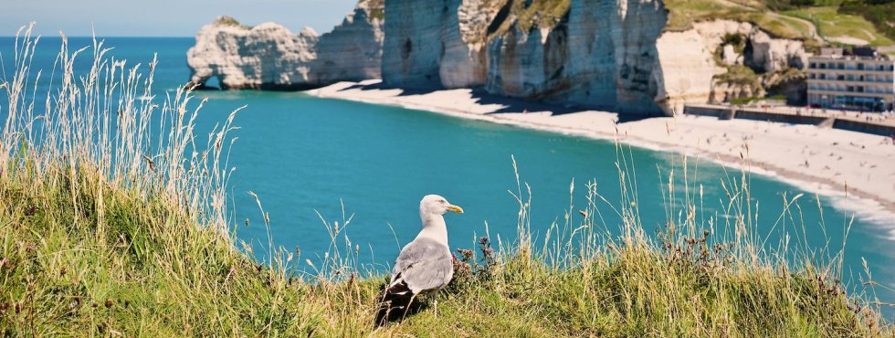 Tour du Cotentin