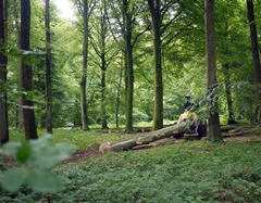 Engin forestier au travail