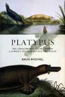 Ann Moyal — Platypus