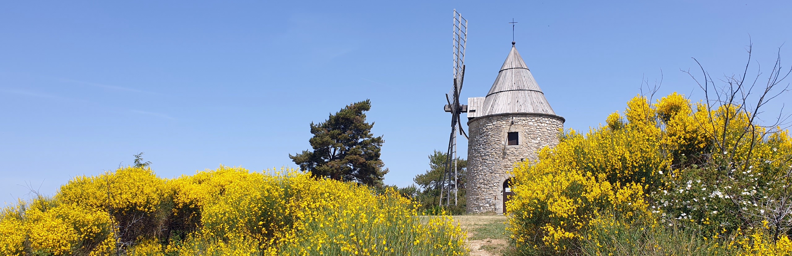 Provence